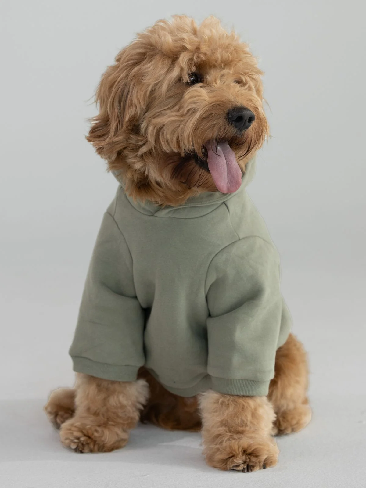 Coordinate Paw Hoodie - Image 5