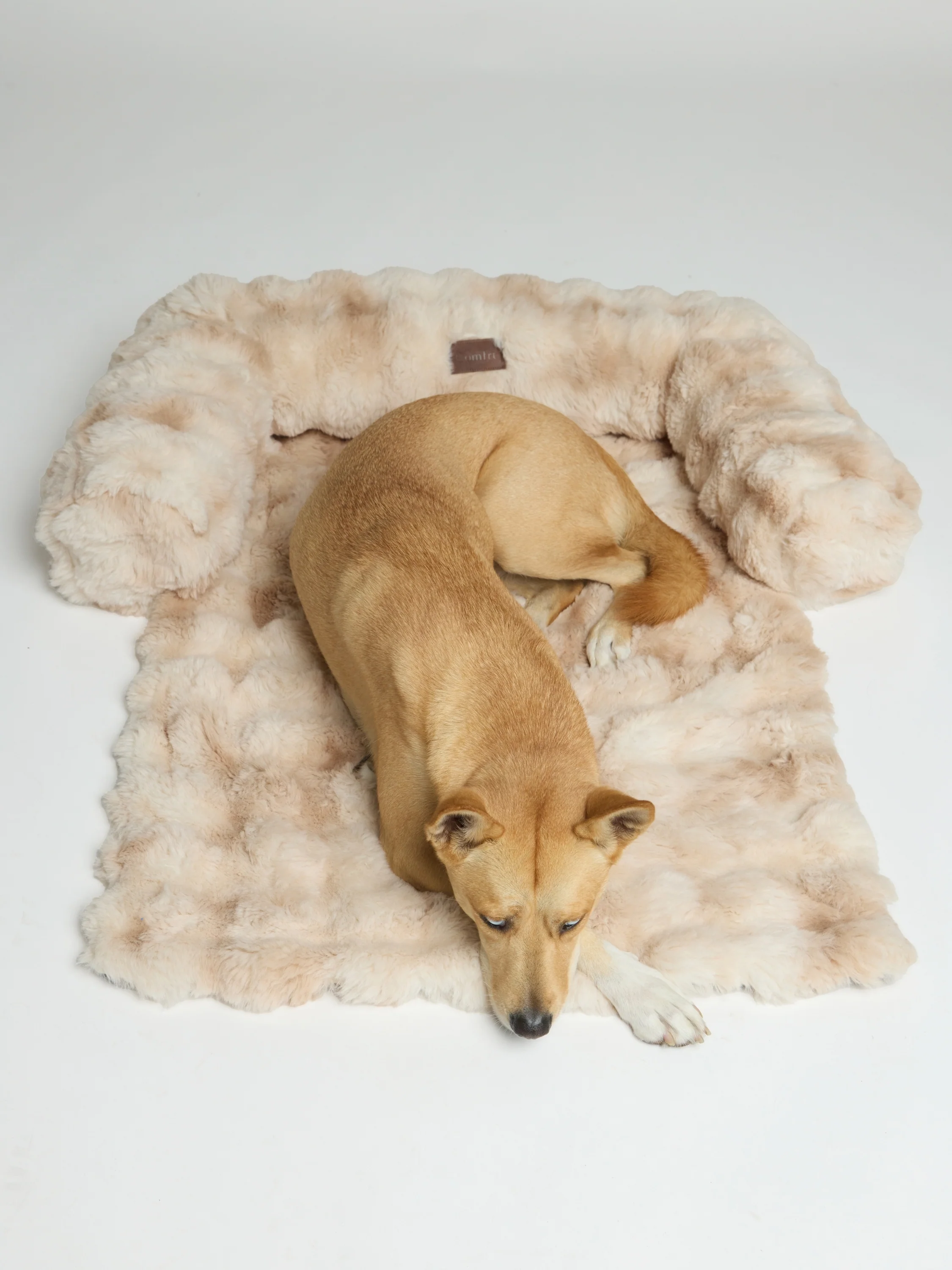 Dream Cloud Pet Sofa Bed - Image 6