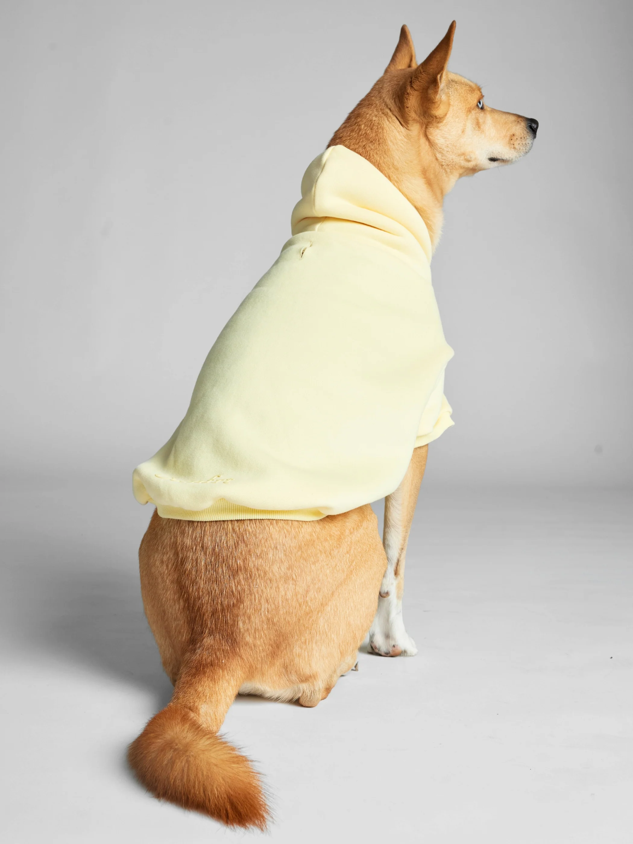 Minimalist Paw Hoodie - Image 36