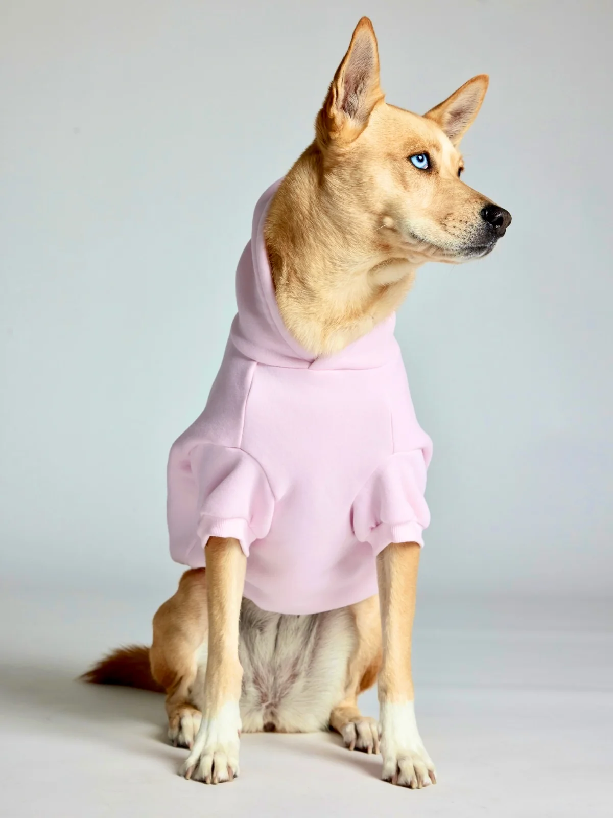 Minimalist Paw Hoodie - Image 38
