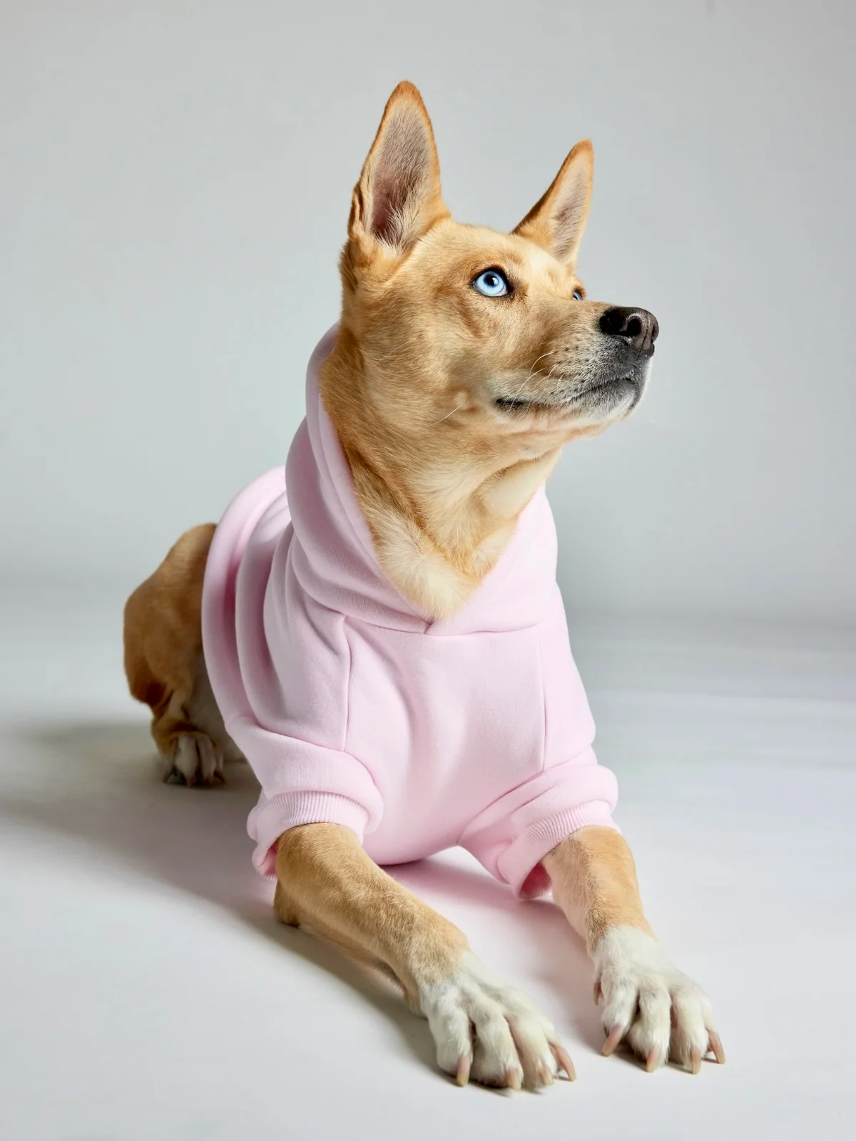 Minimalist Paw Hoodie - Image 40