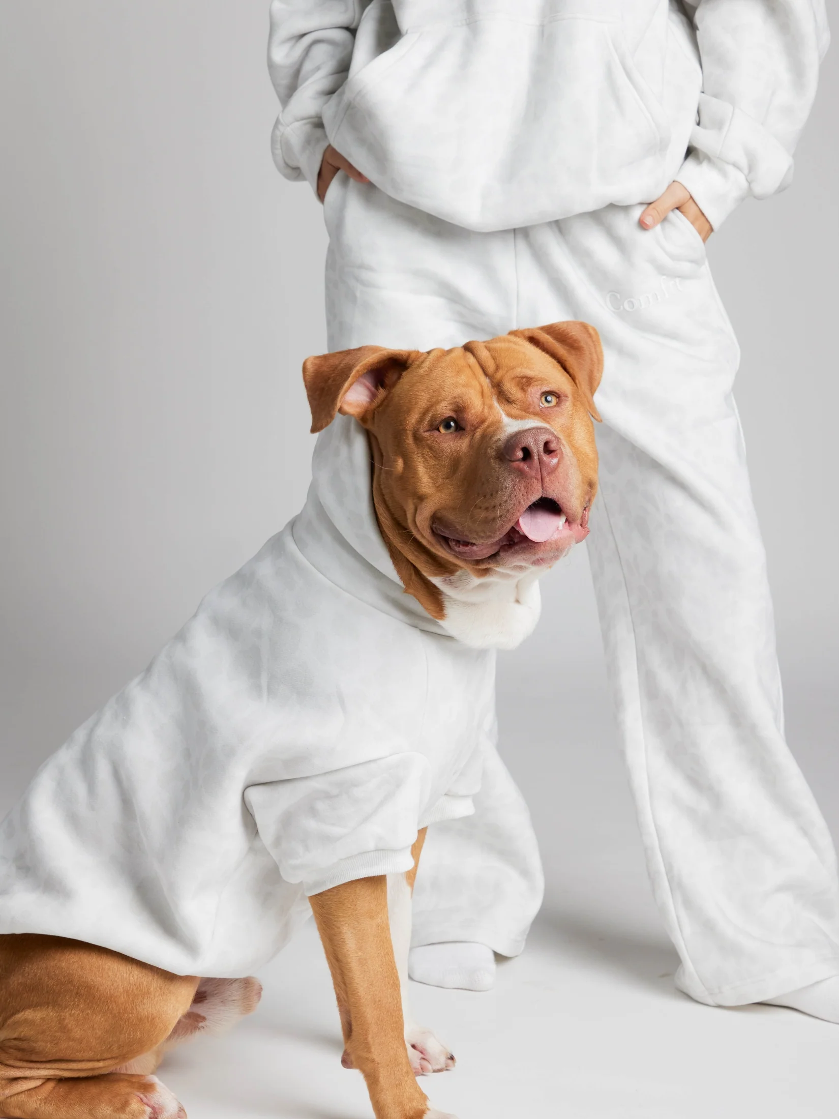 Minimalist Paw Hoodie - Pre-Order - Image 16