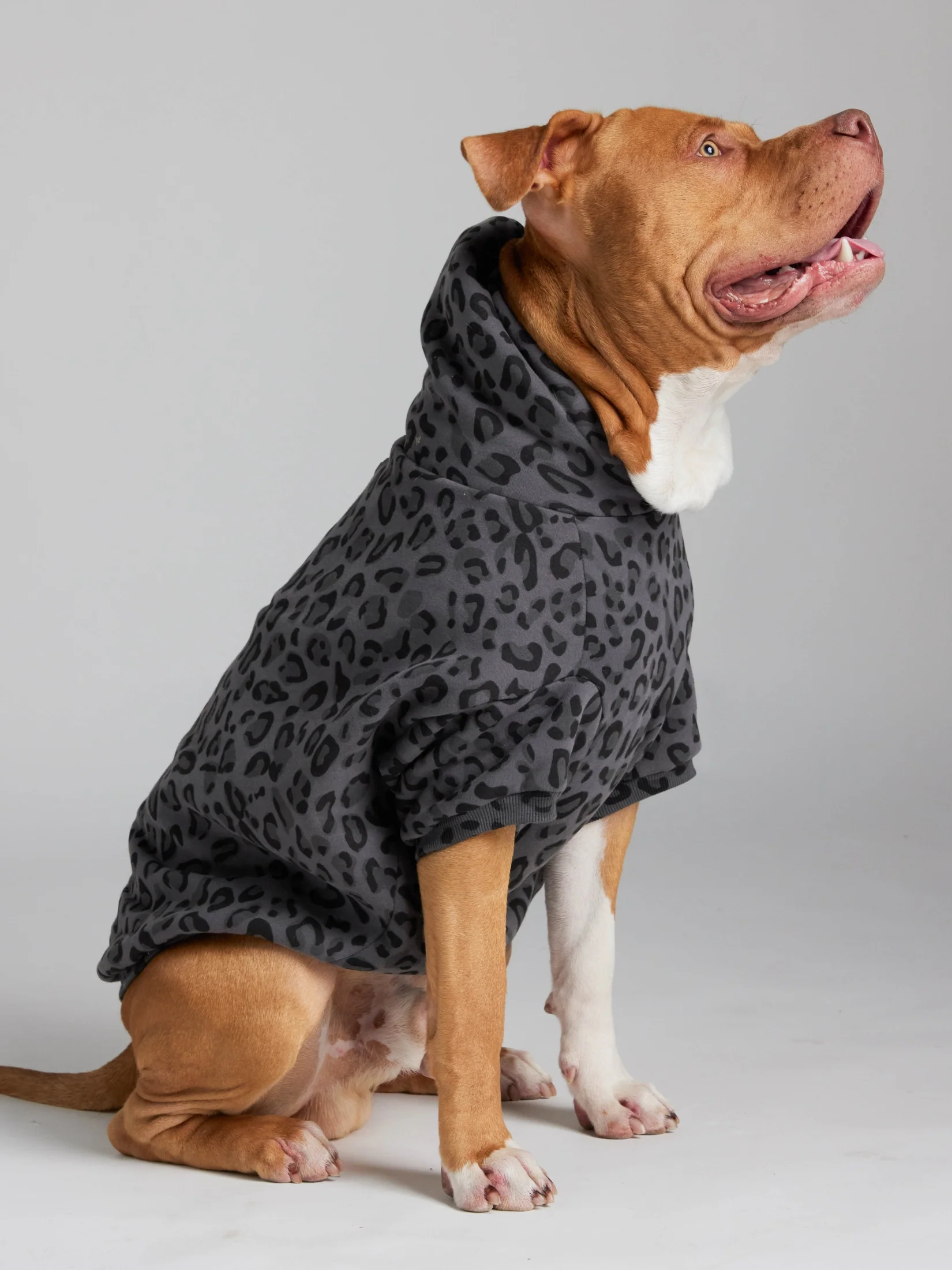Minimalist Paw Hoodie - Pre-Order - Image 20