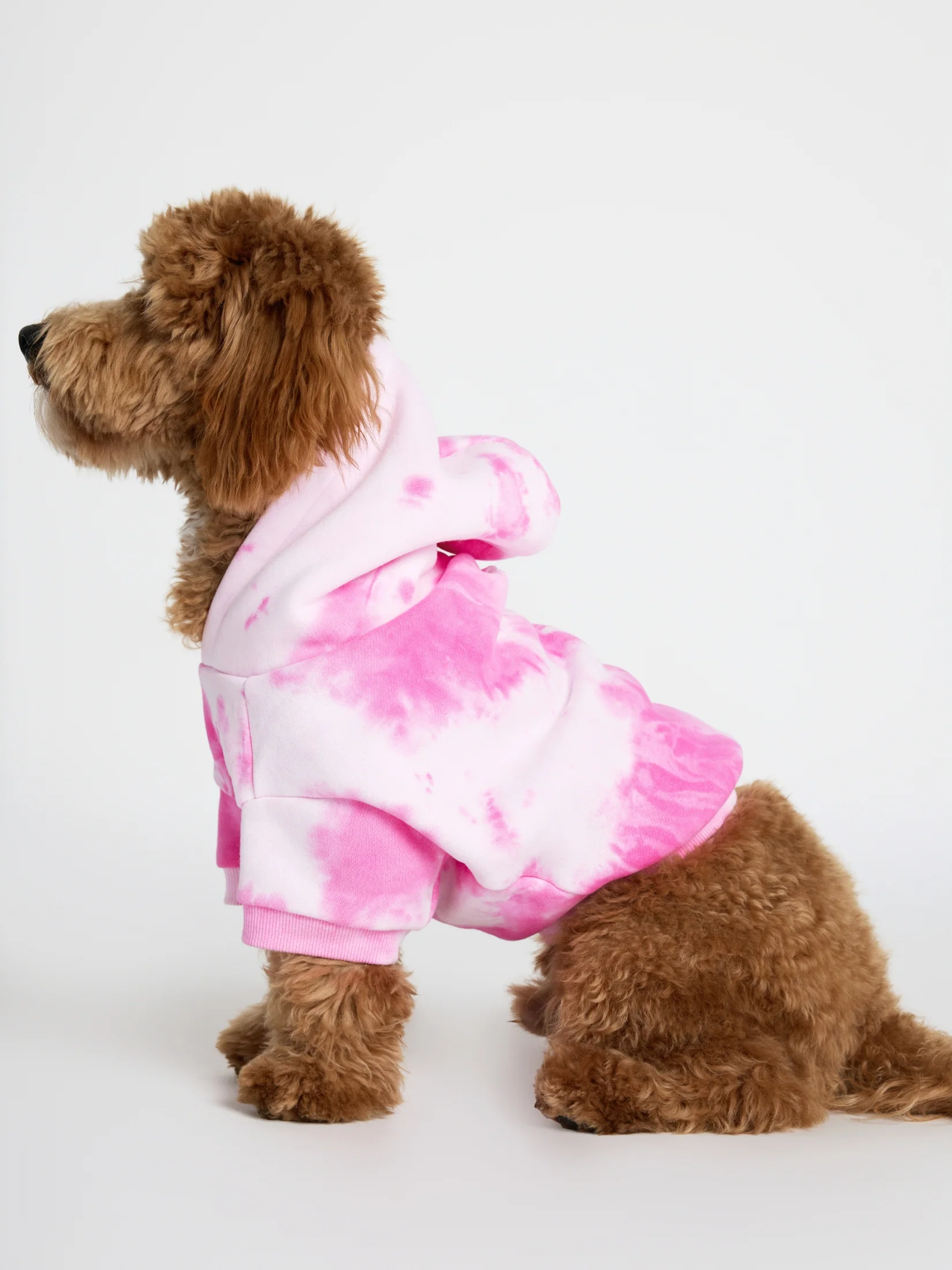 Minimalist Paw Hoodie - Pre-Order - Image 3