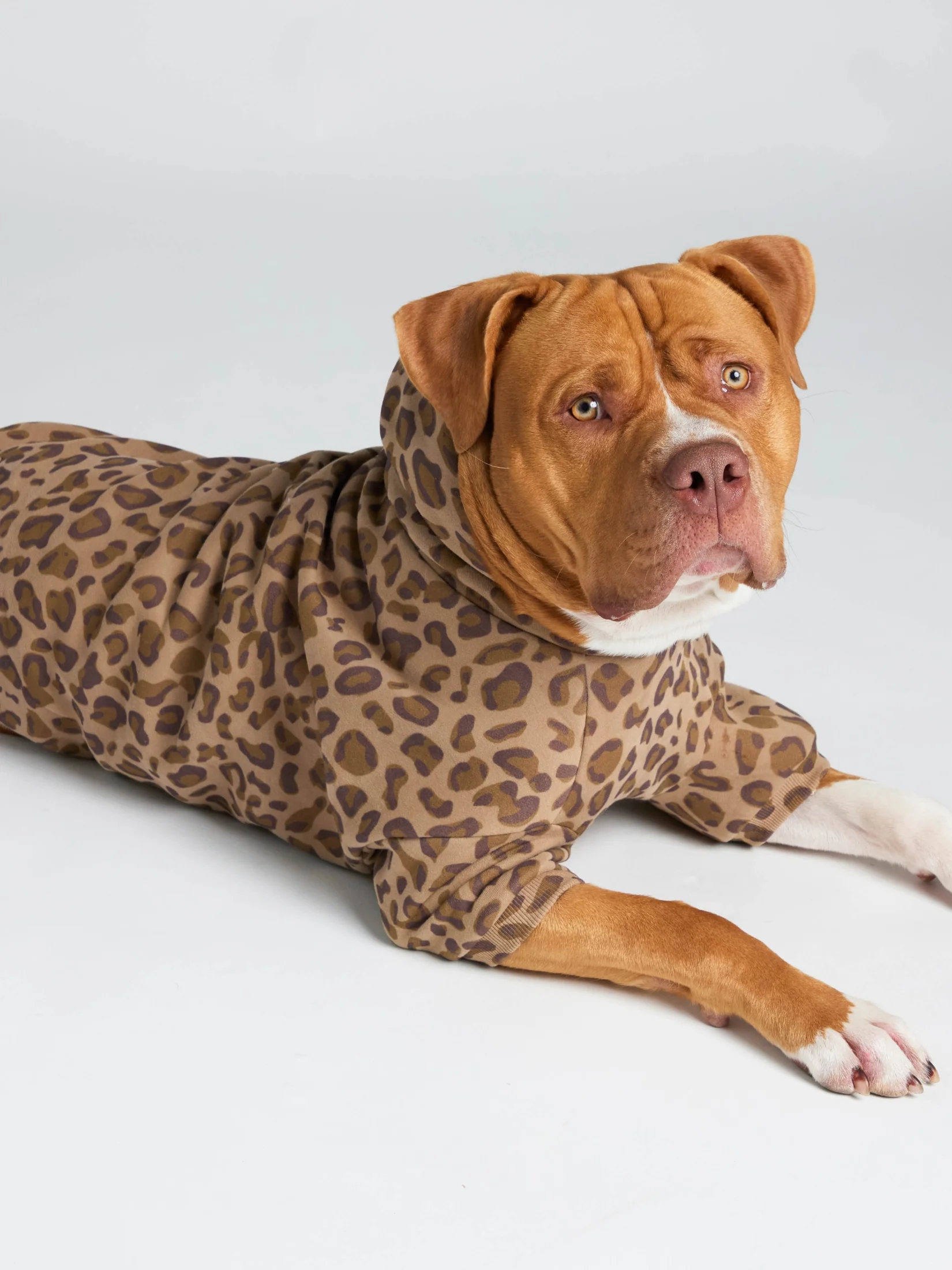 Minimalist Paw Hoodie - Pre-Order - Image 30