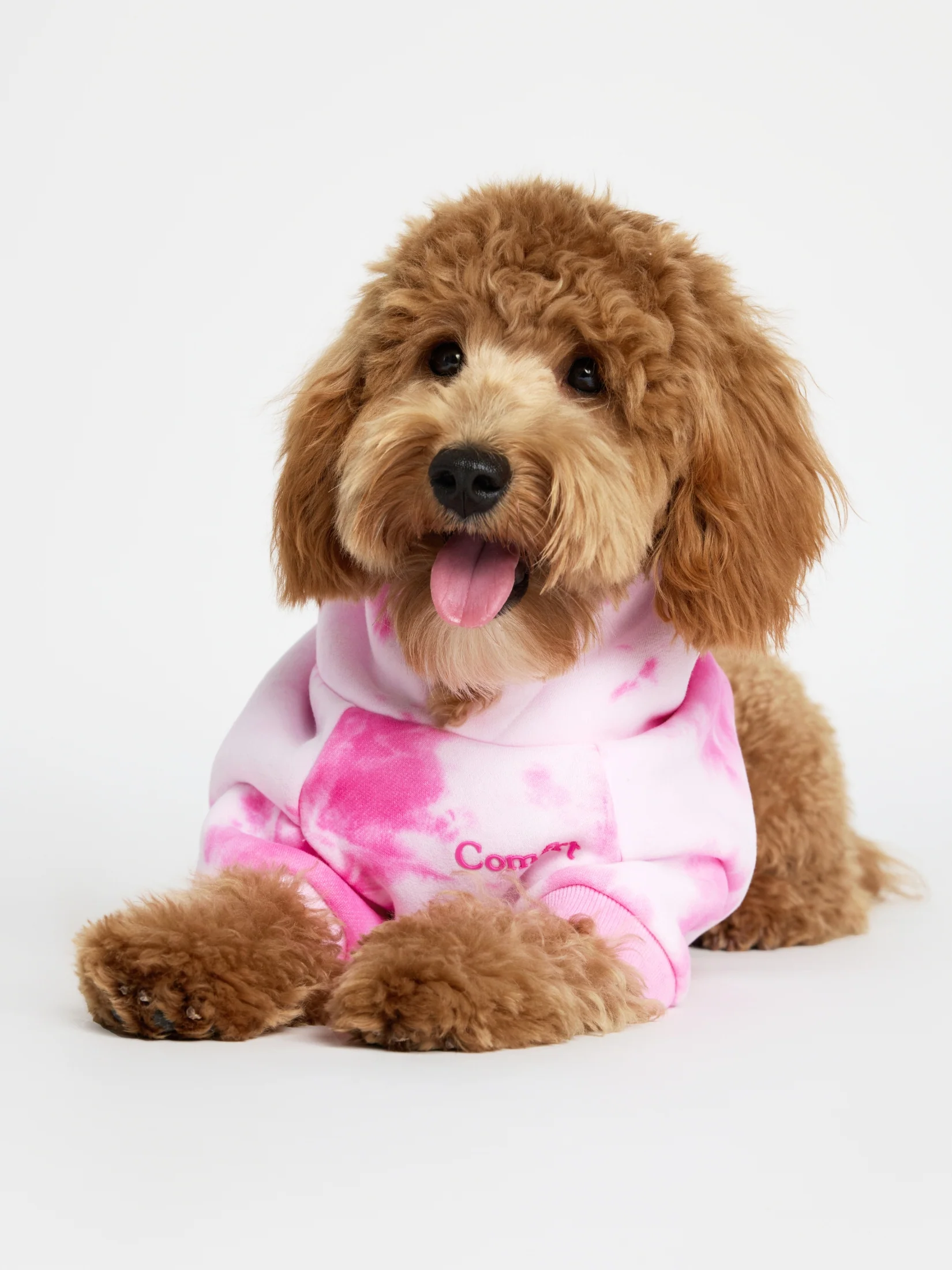 Minimalist Paw Hoodie - Pre-Order - Image 5