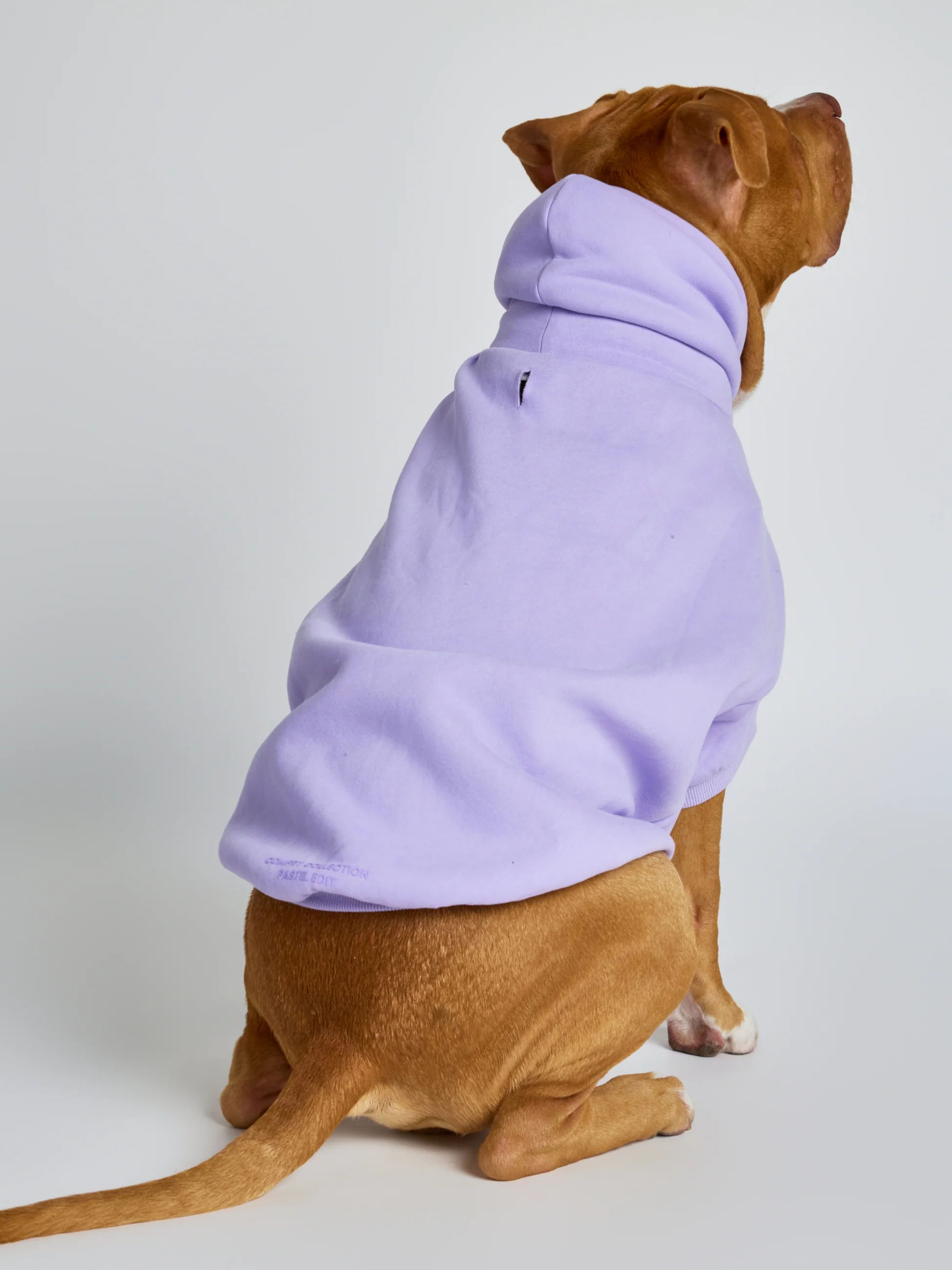 Pastel Paw Hoodie - Image 11