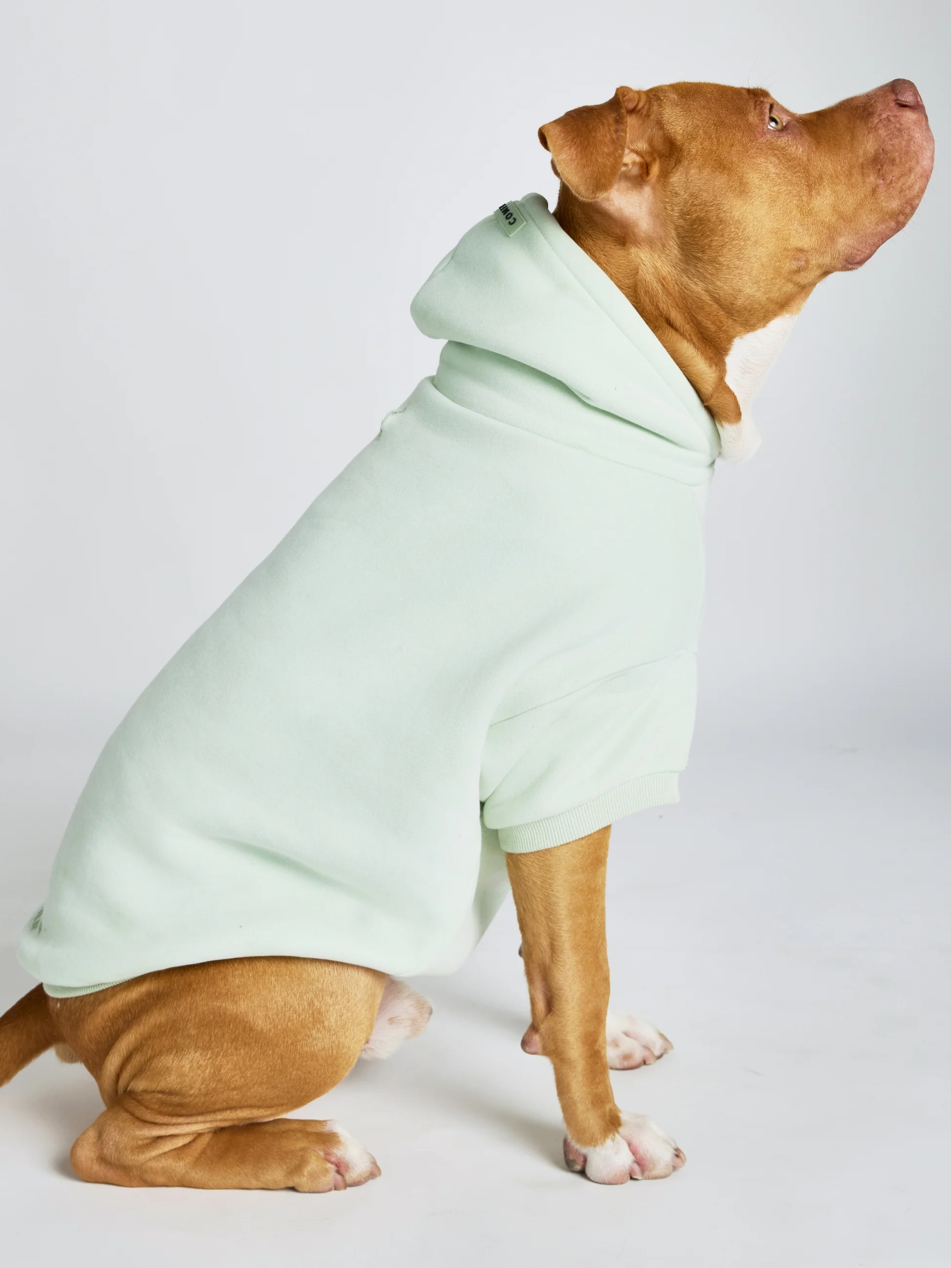Pastel Paw Hoodie - Image 19