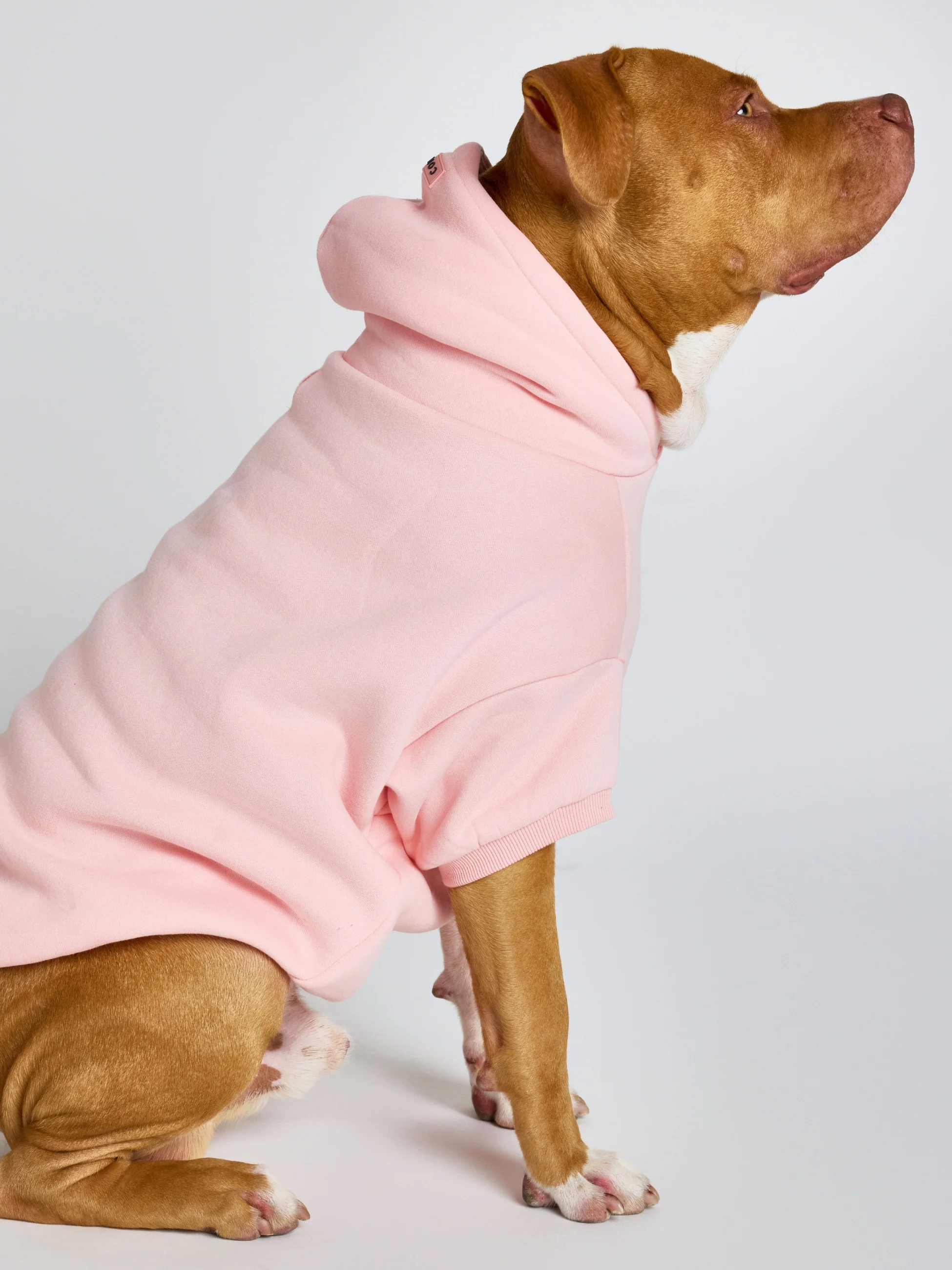 Pastel Paw Hoodie - Image 8