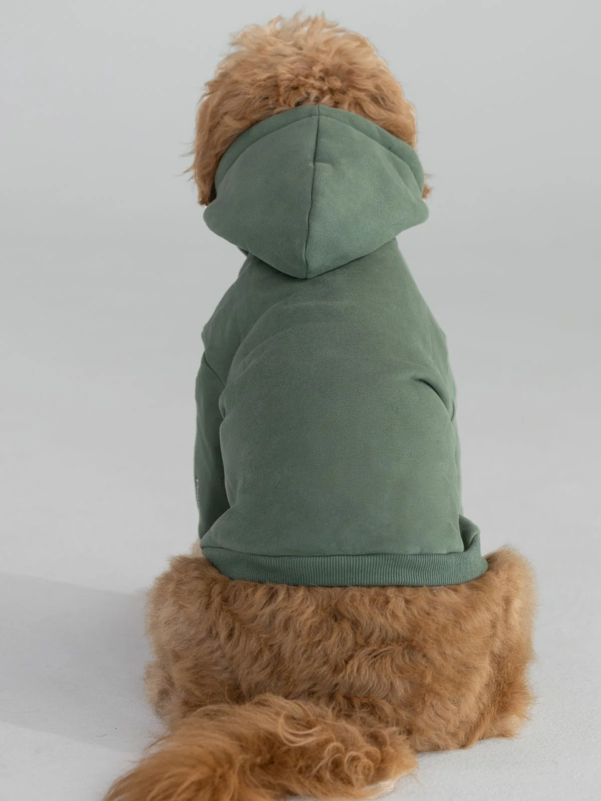 Standard Paw Hoodie - Image 15