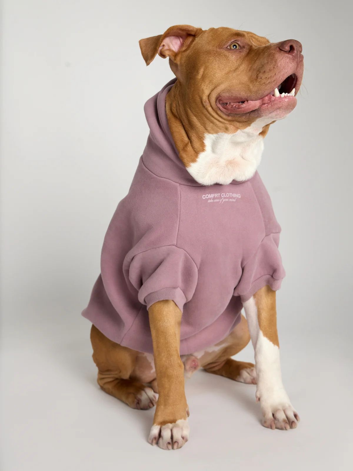 You Matter Paw Hoodie - Image 14