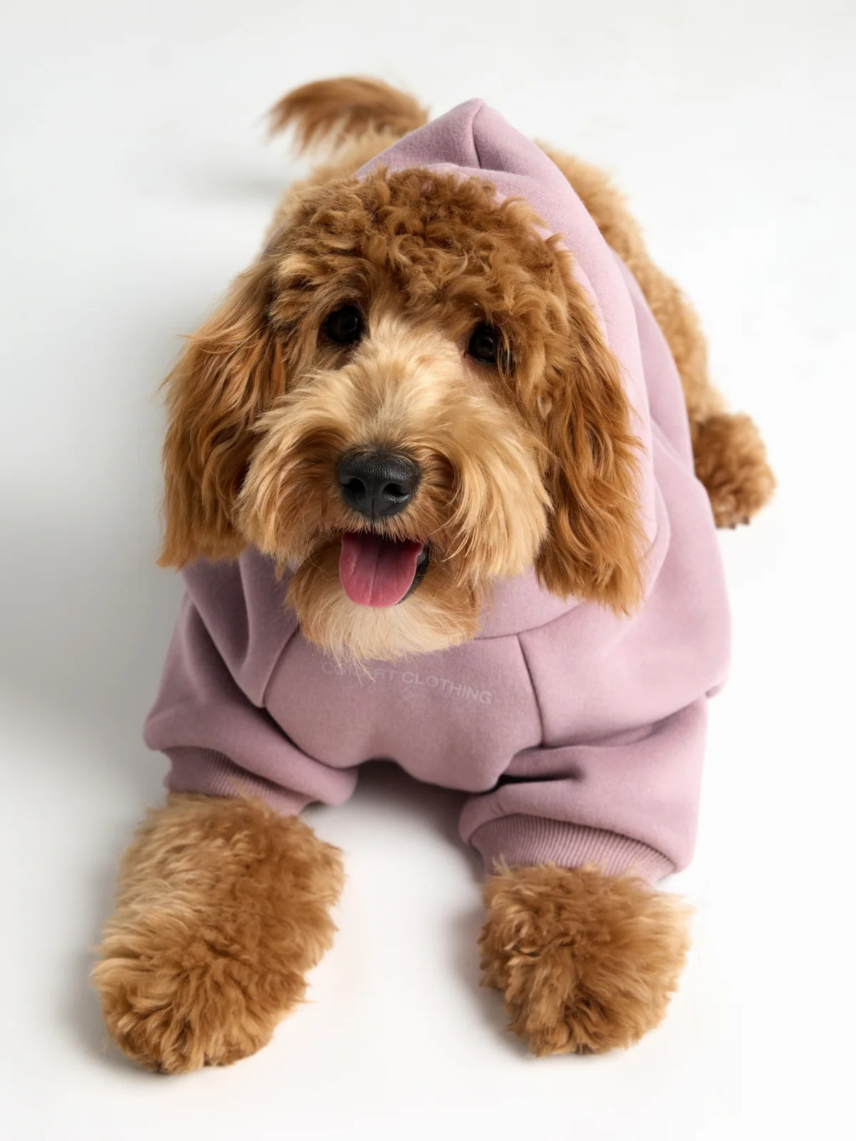 You Matter Paw Hoodie - Image 18