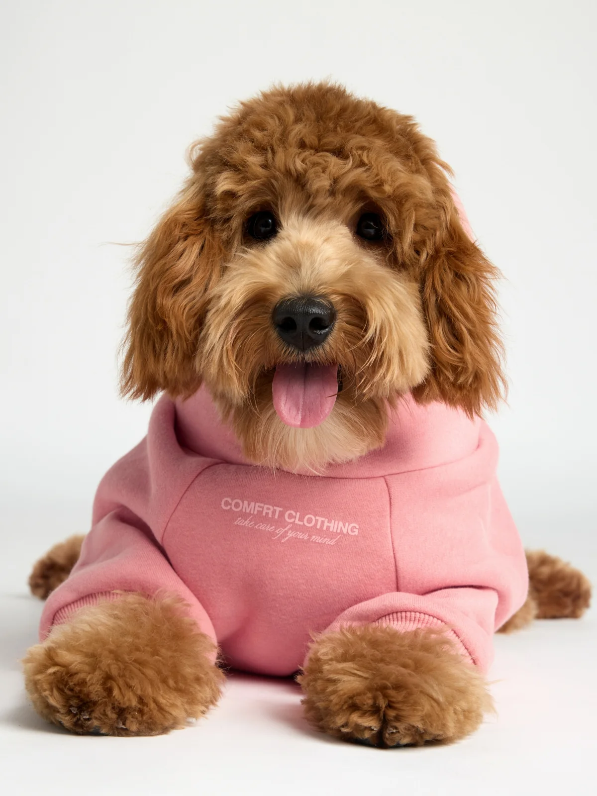 You Matter Paw Hoodie - Image 6
